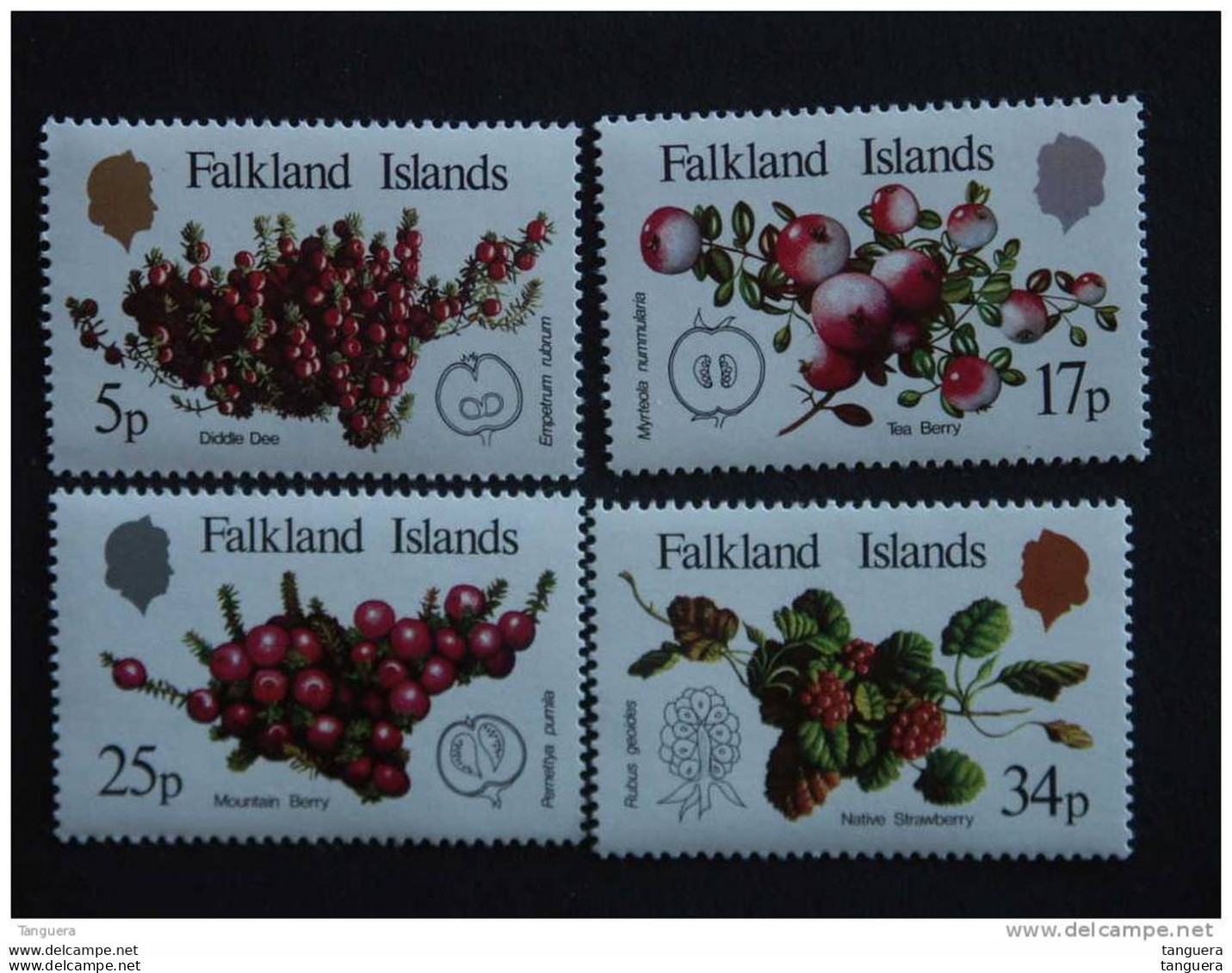 Falkland Islands 1983 Fruit Indigènes Inheems Fruit Yv 395-398 MNH ** - Falklandeilanden