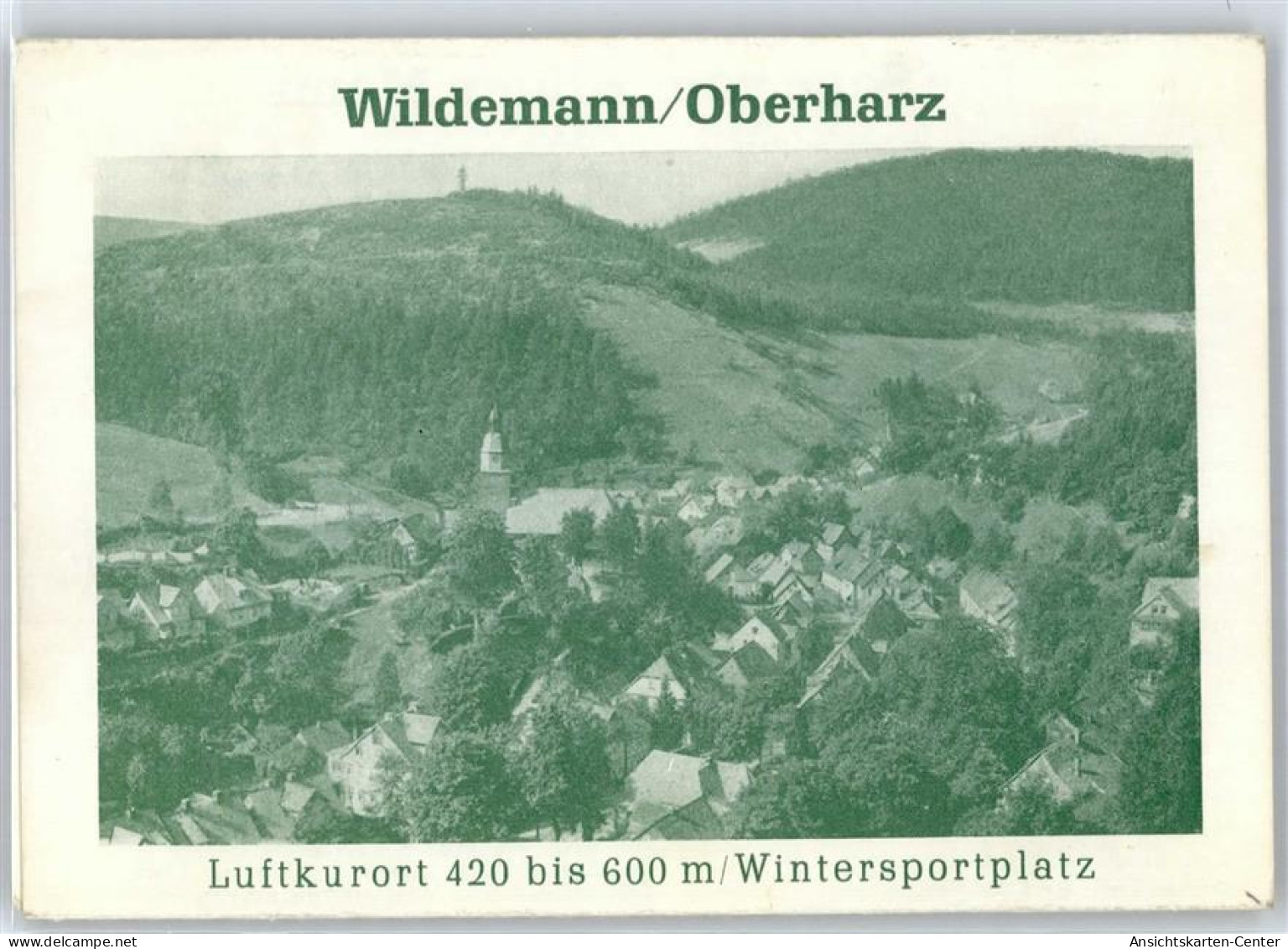 51477201 - Wildemann - Wildemann