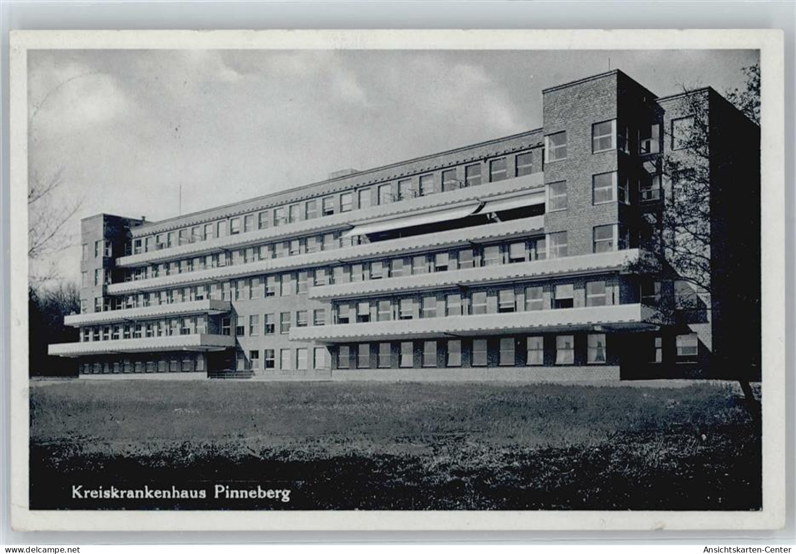 50832601 - Pinneberg - Pinneberg