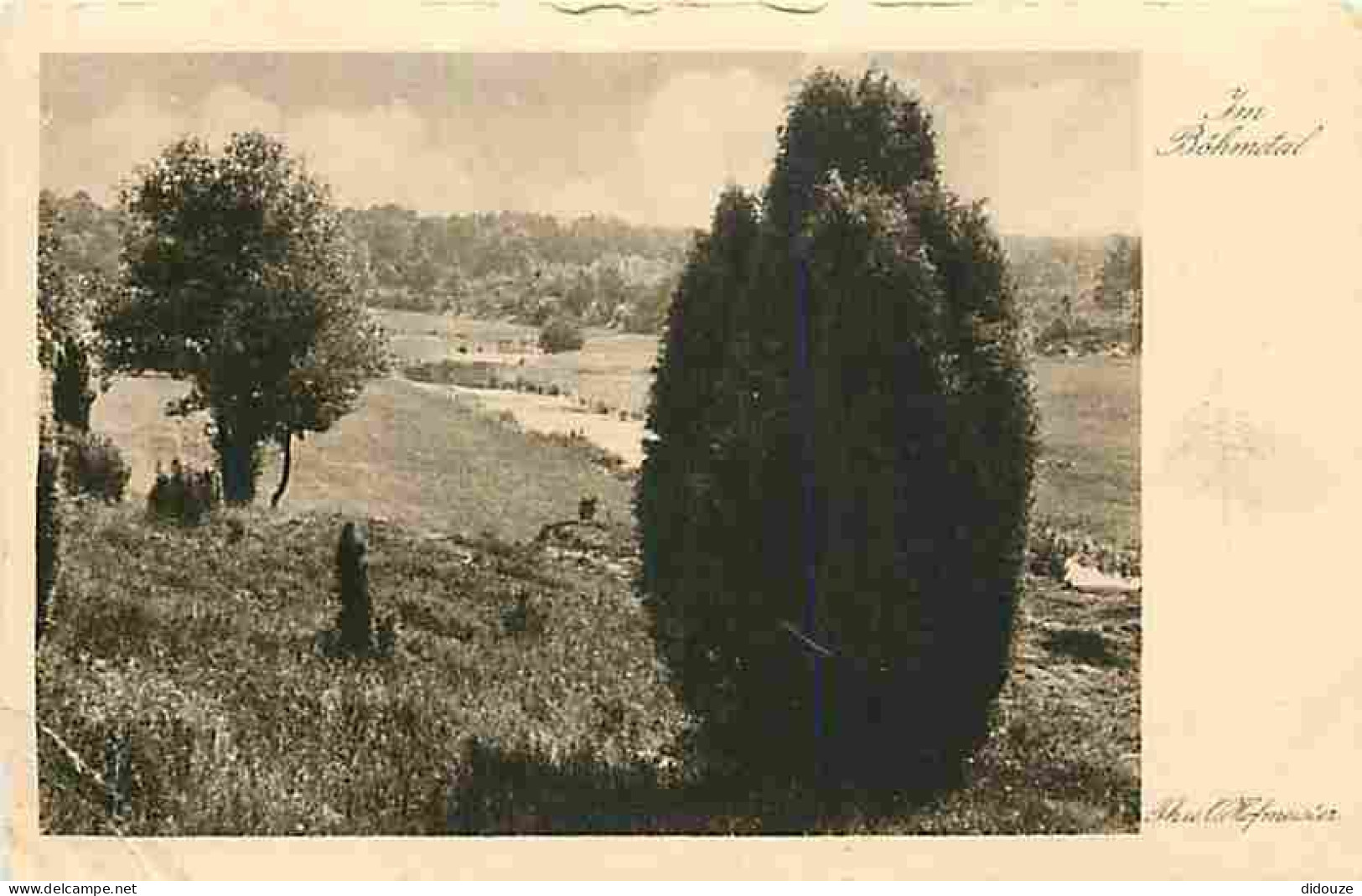 Allemagne - Im Bohmetal - Aus Unserer Heimat - Sammlung 22 - Die Heide II - Ecrite En 1922 - CPM - Voir Scans Recto-Vers - Schneverdingen