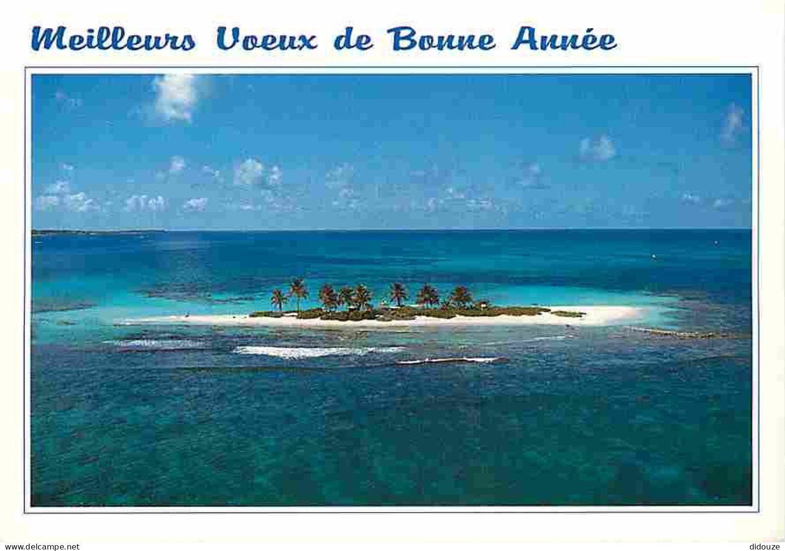 Antilles - Meilleurs Voeux De Bonne Année - CPM - Voir Scans Recto-Verso - Autres & Non Classés