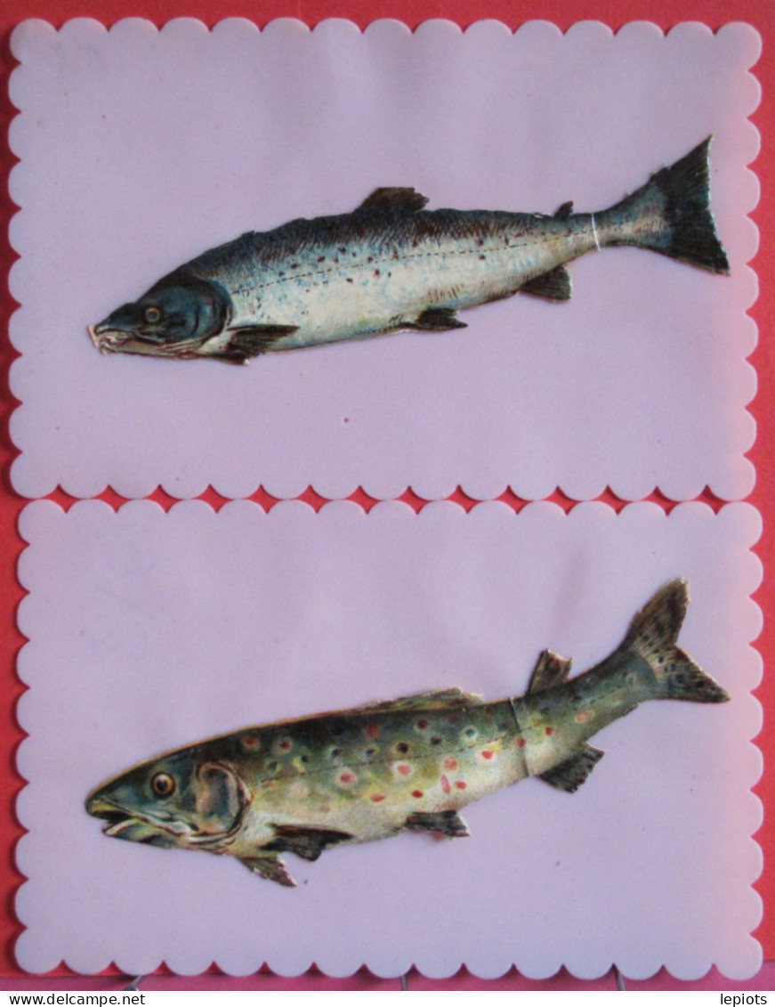 Lot De 2 Cartes - Poissons Cartonnés (truite Et Saumon) Collés Sur Plastique Dentelé (format 9x14) - 1er Avril - Poisson D'avril