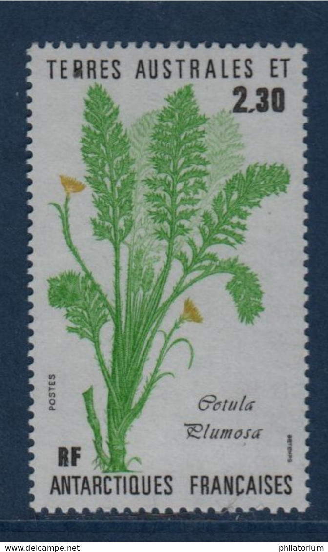 TAAF, **,  N° Yv 118, Mi 214, SG 216, Cotula Plumosa, - Neufs