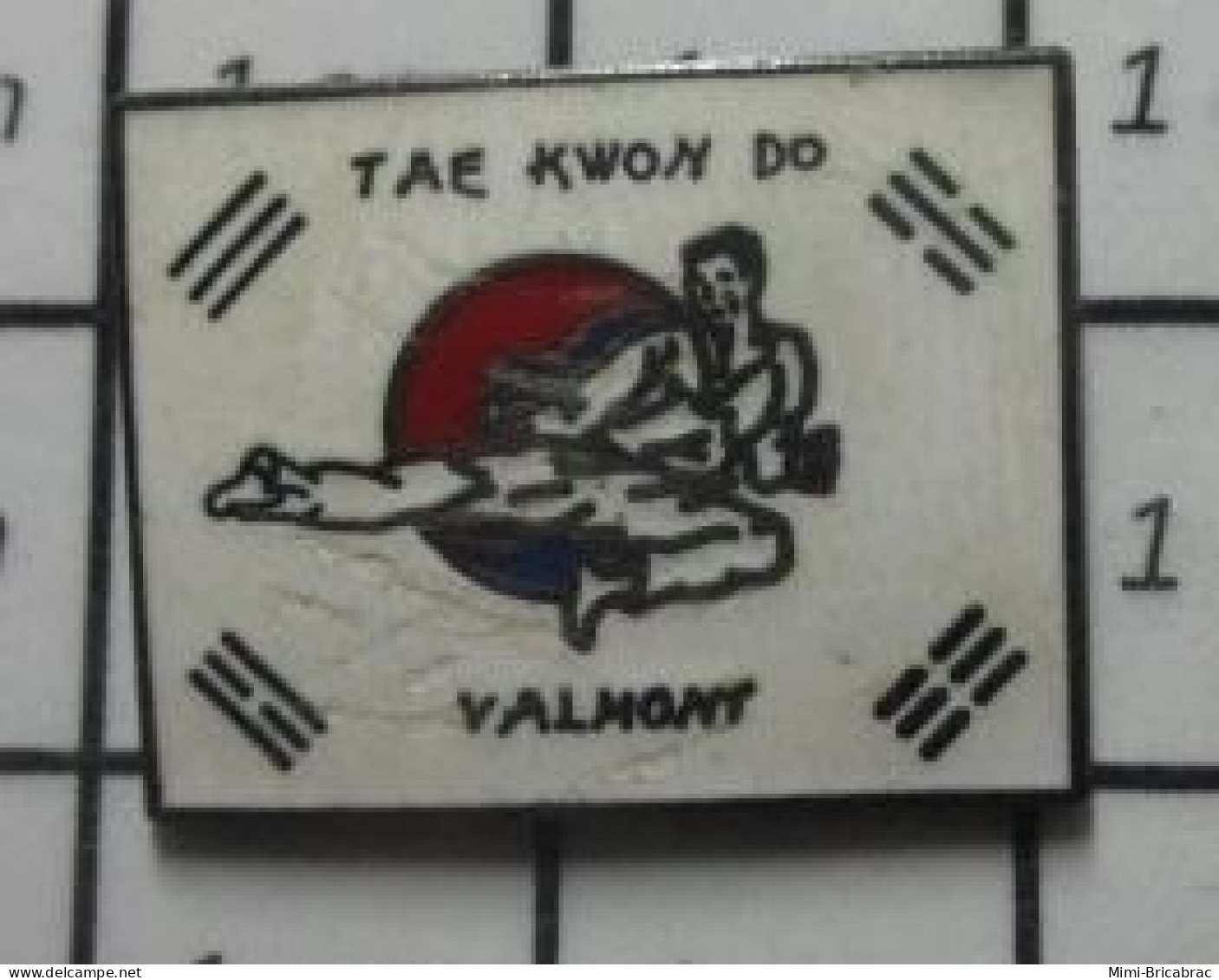 713B Pin's Pins / Beau Et Rare : SPORTS / CLUB TAe-KWON-DO VALMONT T'as Le Look Coco - Judo