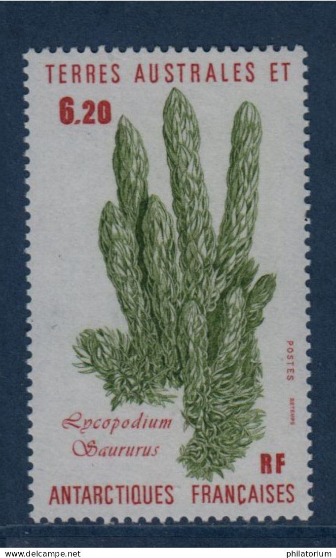 TAAF, **,  N° Yv 119, Mi 215, SG 217,  Lycopodium Saururus Ou Pins Moulus Ou De Cèdres Rampants, - Ongebruikt