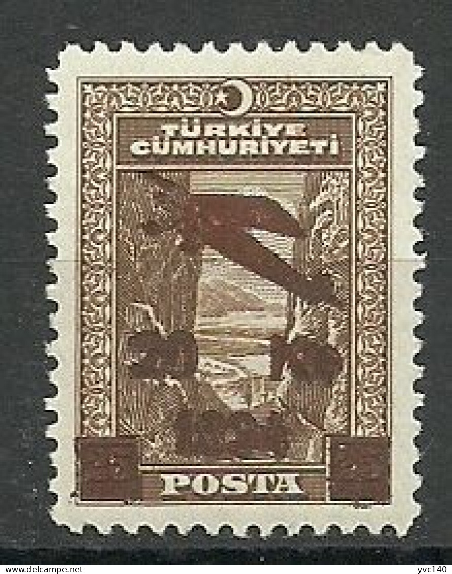 Turkey; 1934 Surcharged Airmail Stamp (1st Issue) "Untidy Overprint" - Ongebruikt