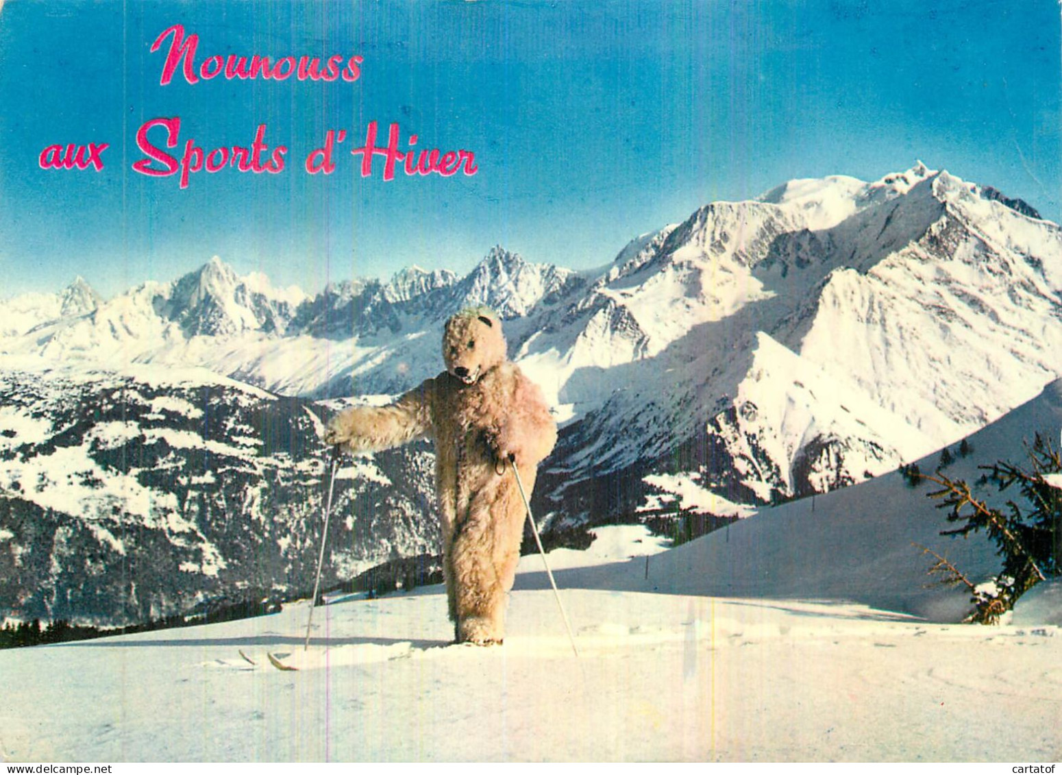 Nounours Aux Sports D'hiver . - Collections, Lots & Séries