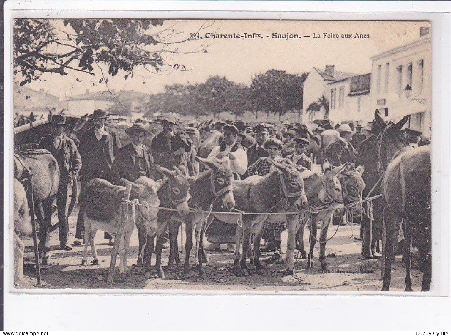 SAUJON: La Foire Aux Anes - état - Saujon