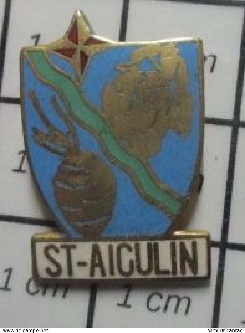 713B Pin's Pins / Beau Et Rare : VILLES / SAINT AIGULIN BLASON ECUSSON ARMOIRIES - Villes