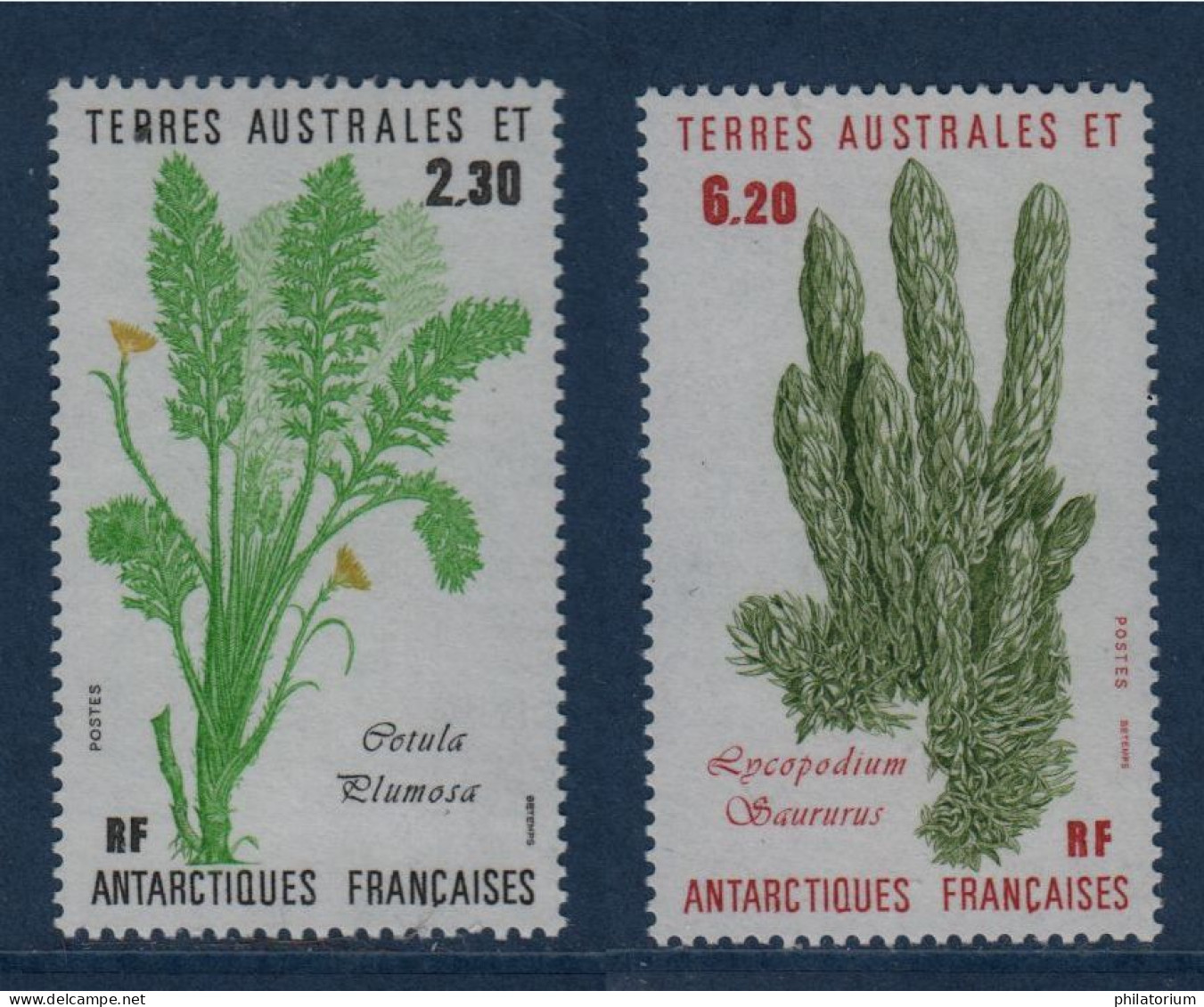 TAAF, **,  N° Yv 118, 119, Mi 214, 215, SG 216, 217, Cotula Pulmosa, Lycopodium Saururus Ou Pins Moulus - Neufs