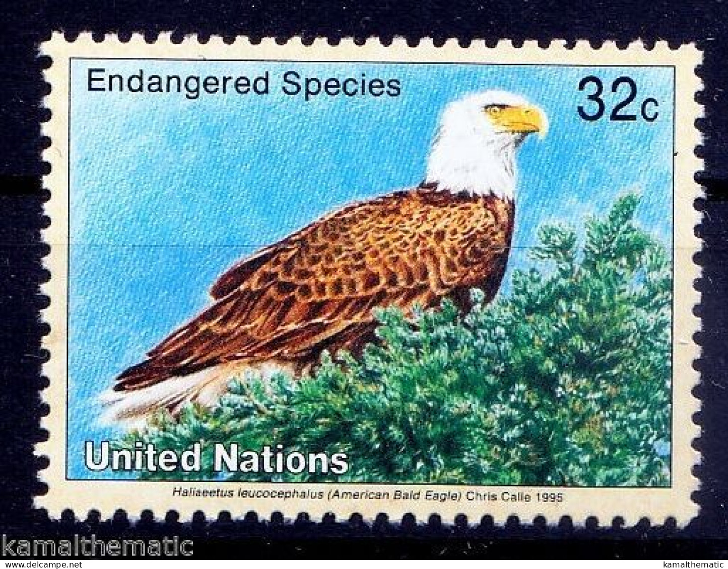 United Nations UNO 1995 MNH, American Bald Eagle, Birds - Adler & Greifvögel