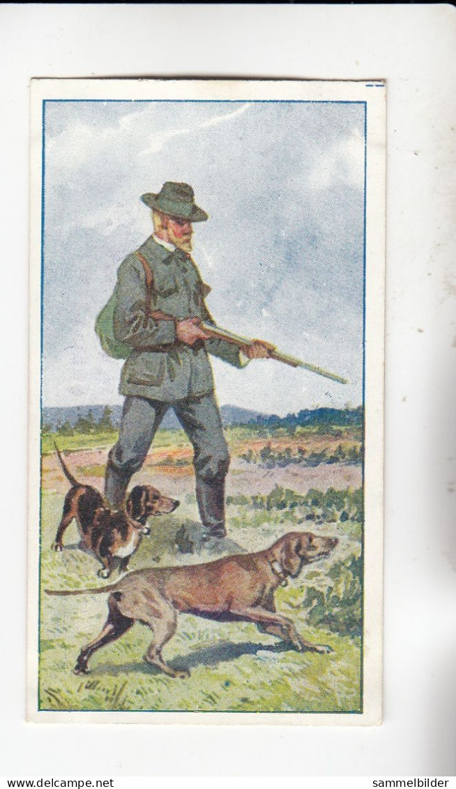 Actien Gesellschaft Hunde - Rassen U Ihre Verwendung Hühnerhund / Dachshund   Serie  46 #4 Von 1900 - Stollwerck