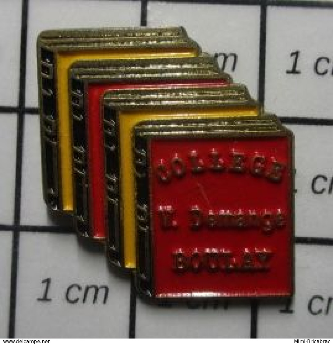 713B Pin's Pins / Beau Et Rare / ADMINISTRATIONS / PILE DE LIVRE COLLEGE SAM DéMANGE BOULAY - Administraties