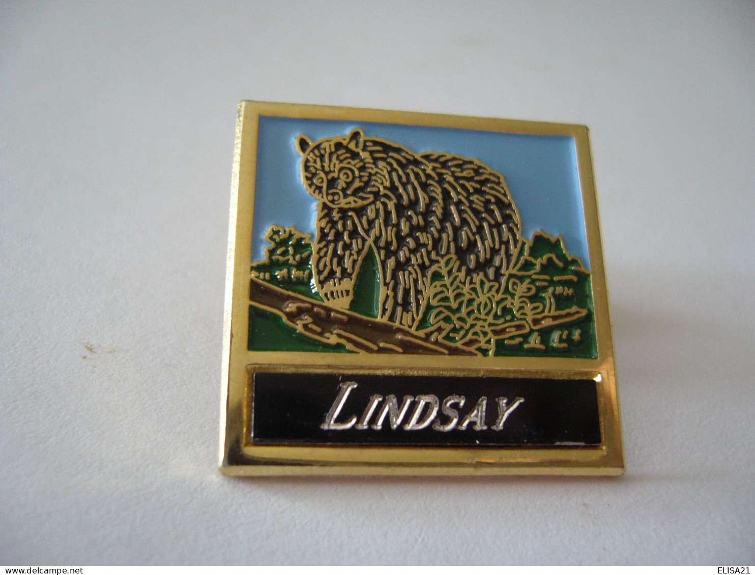 PIN'S PINS PIN PIN’s ピンバッジ  LINDSAY - Marques