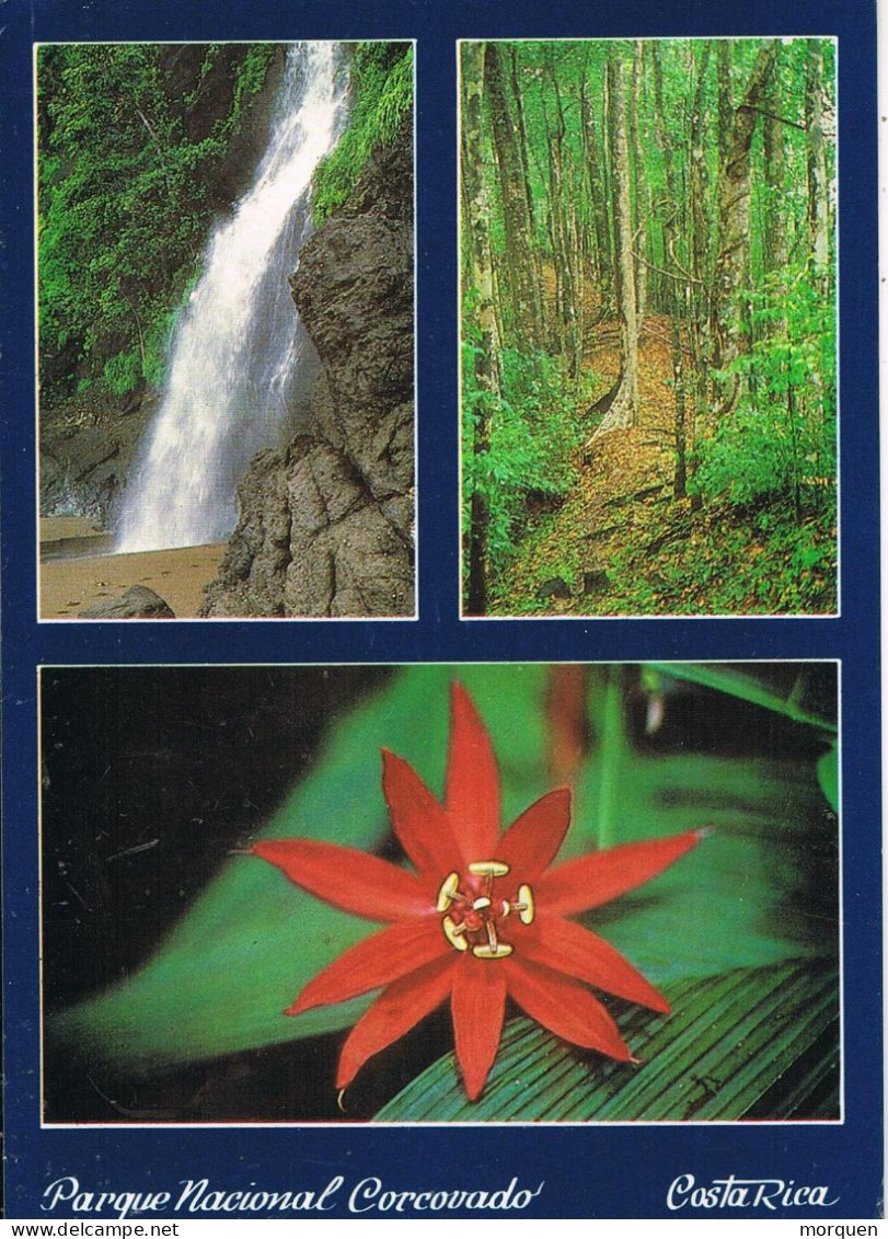 54680. Postal Aerea SAN JOSE (Costa Rica) 1977. Vistas Parque Nacional CORCOVADO - Costa Rica