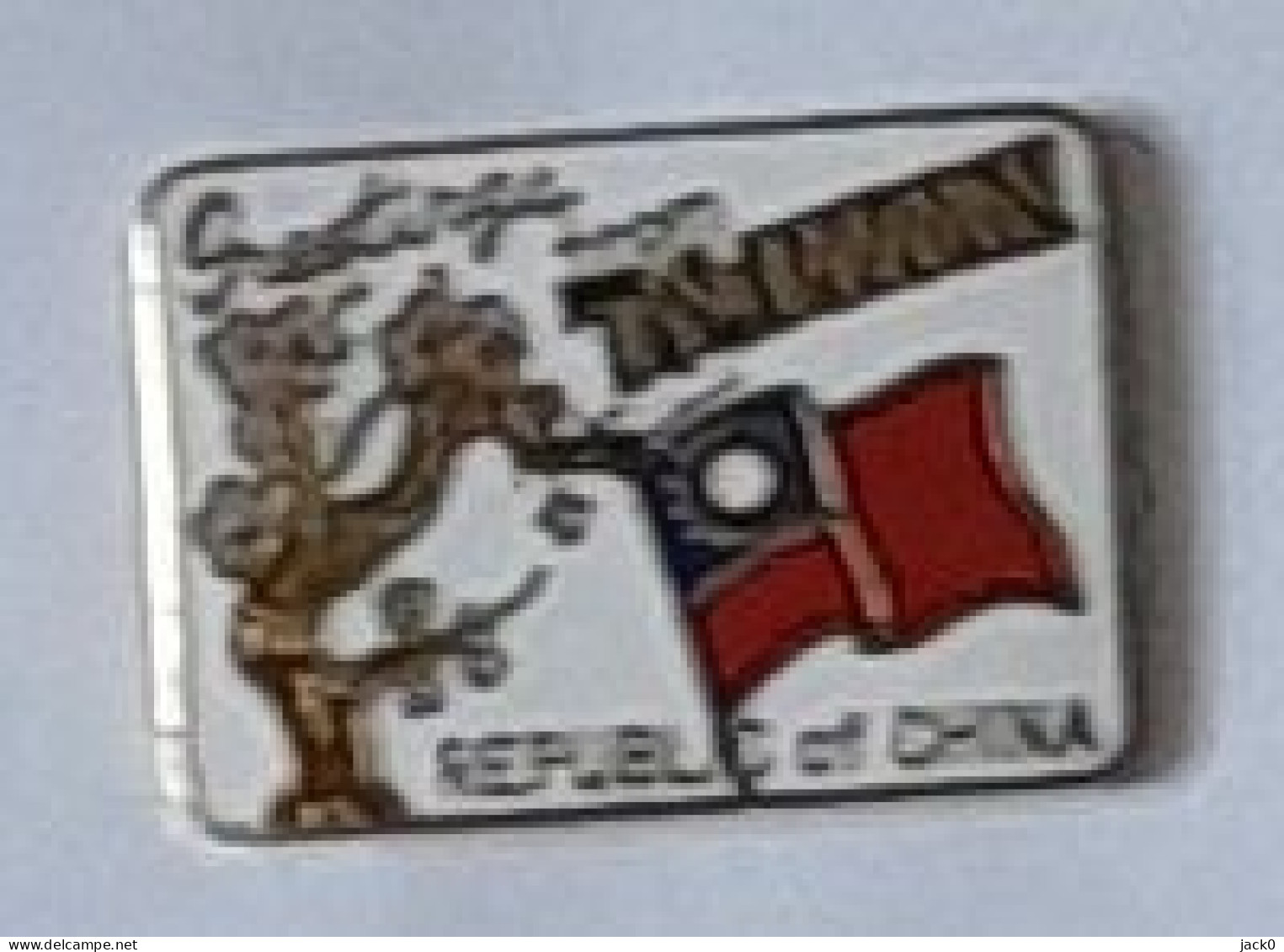 Pin' S  Ville, Greetings  From  TAIWAN  REPUBLIC  Of  CHINA, ( Salutations De La RÉPUBLIQUE DE TAIWAN De CHINE ) - Villes