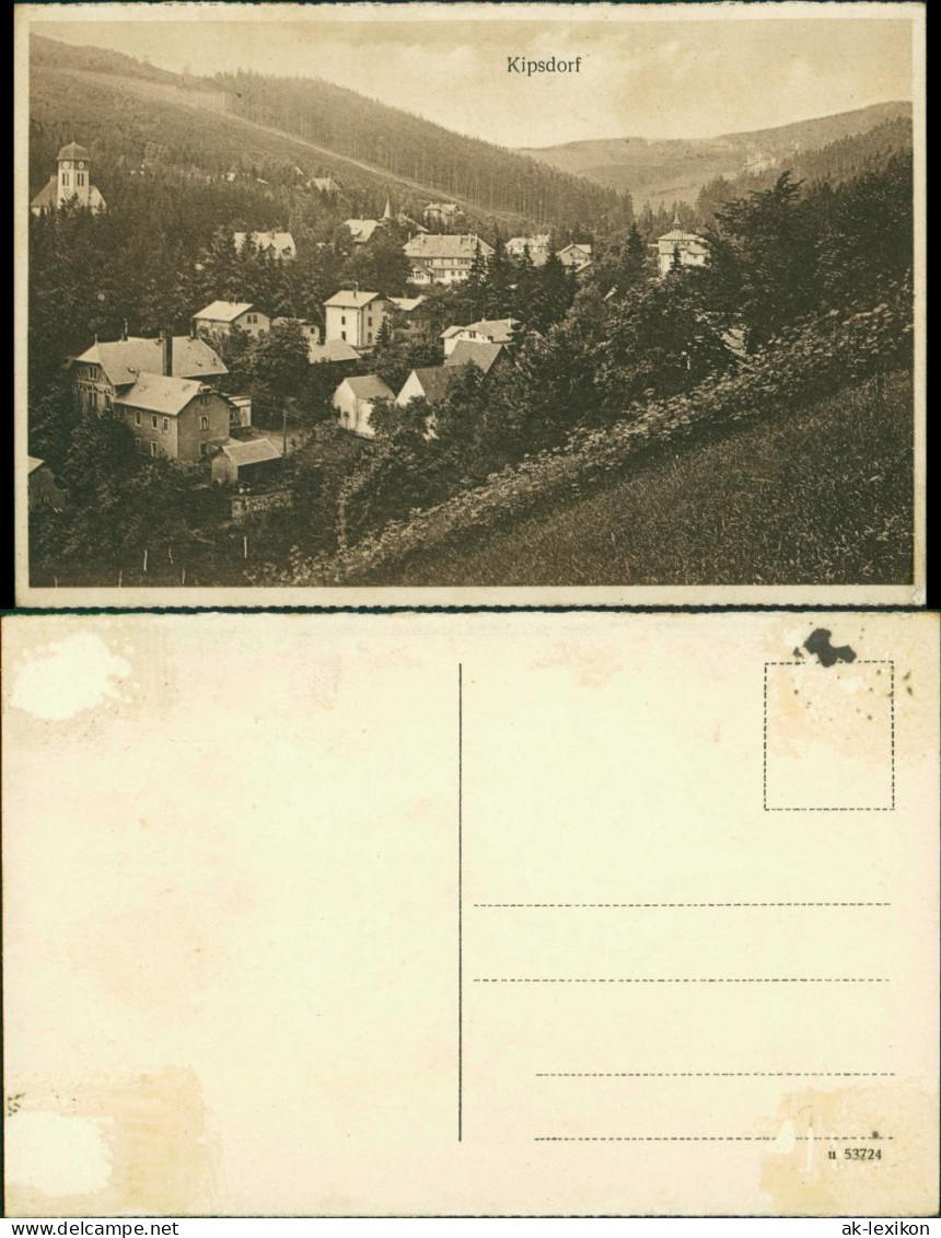 Ansichtskarte Kipsdorf-Altenberg (Erzgebirge) Blick Auf Stadt Und Fabrik 1924  - Kipsdorf