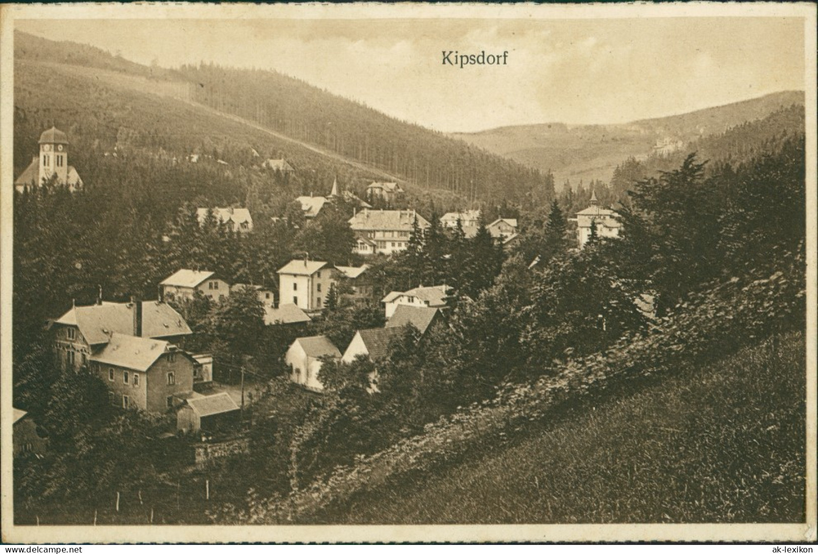 Ansichtskarte Kipsdorf-Altenberg (Erzgebirge) Blick Auf Stadt Und Fabrik 1924  - Kipsdorf