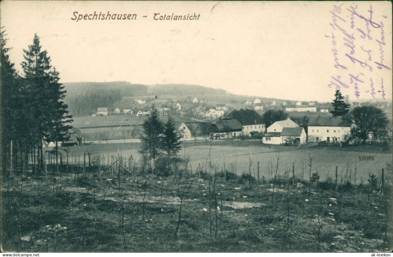 Ansichtskarte Spechtshausen-Tharandt Blick Auf Die Stadt 1928  - Tharandt