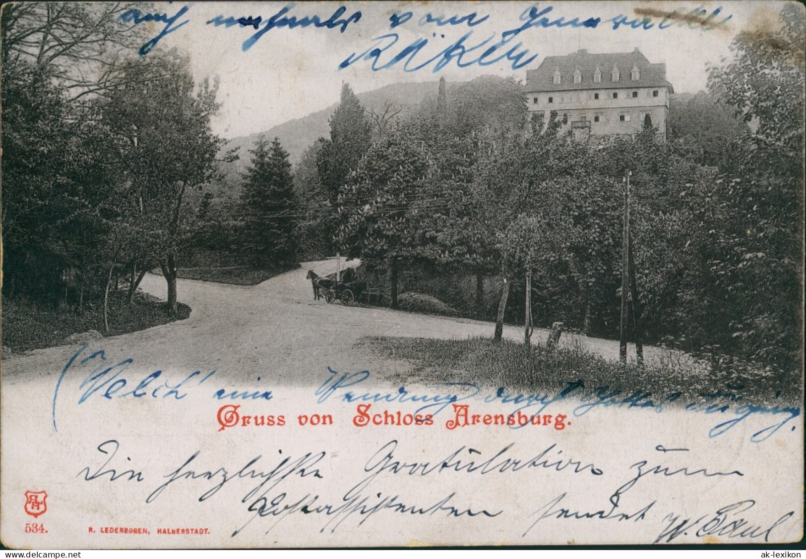Ansichtskarte Steinbergen-Rinteln Straßenpartie Schloss Arensburg 1901  - Rinteln