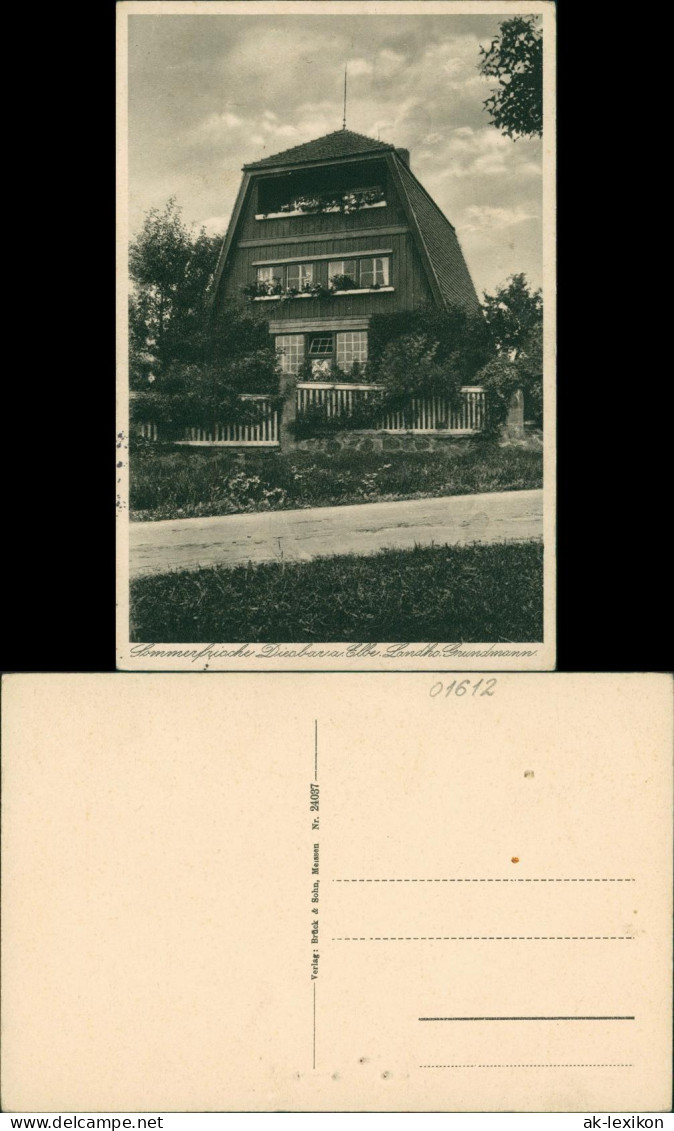 Ansichtskarte Diesbar (Elbe)-Nünchritz (Elbe) Landhotel Grundmann 1928  - Diesbar-Seusslitz