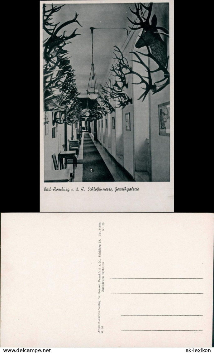 Bad Homburg Vor Der Höhe Kaiserliches Schloß - Geweihgallerie 1934 - Bad Homburg