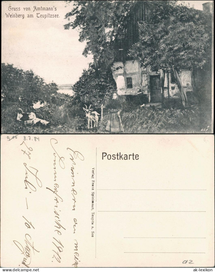 Ansichtskarte Teupitz Amtmanns Weinberg Teupitzsee 1912 - Teupitz