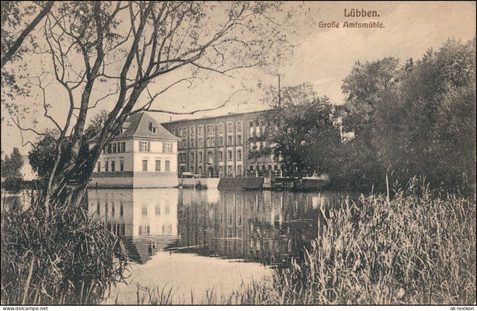 Ansichtskarte Lübben (Spreewald) Lubin (Błota) Große Amtsmühle 1916 - Lübben (Spreewald)