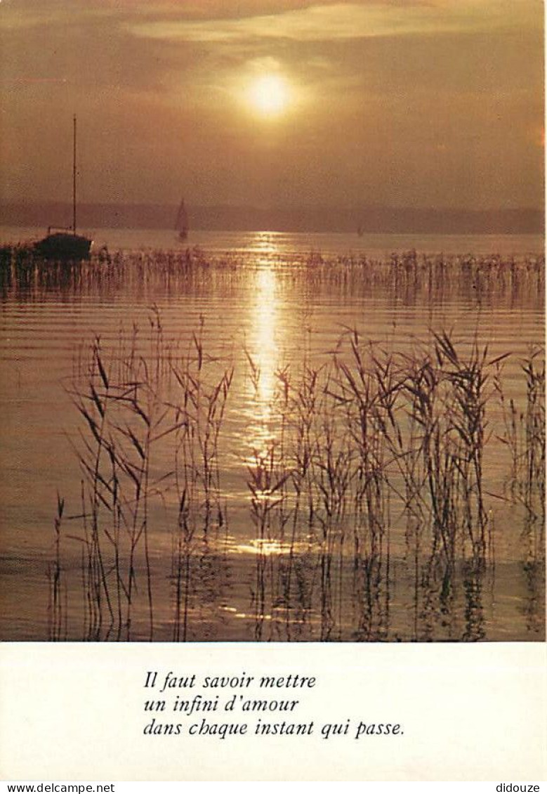 Coucher De Soleil - CPM - Voir Scans Recto-Verso - Contre La Lumière