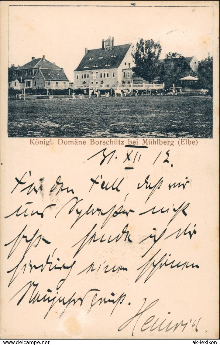 Ansichtskarte Altenau-Mühlberg/Elbe Miłota Domäne Borschütz 1912 - Muehlberg