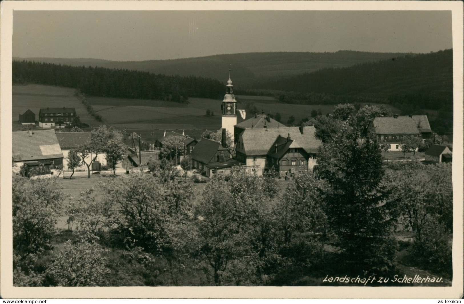 Schellerhau-Altenberg (Erzgebirge) Panorama Lansdschaft Mit Kirche 1929 - Schellerhau