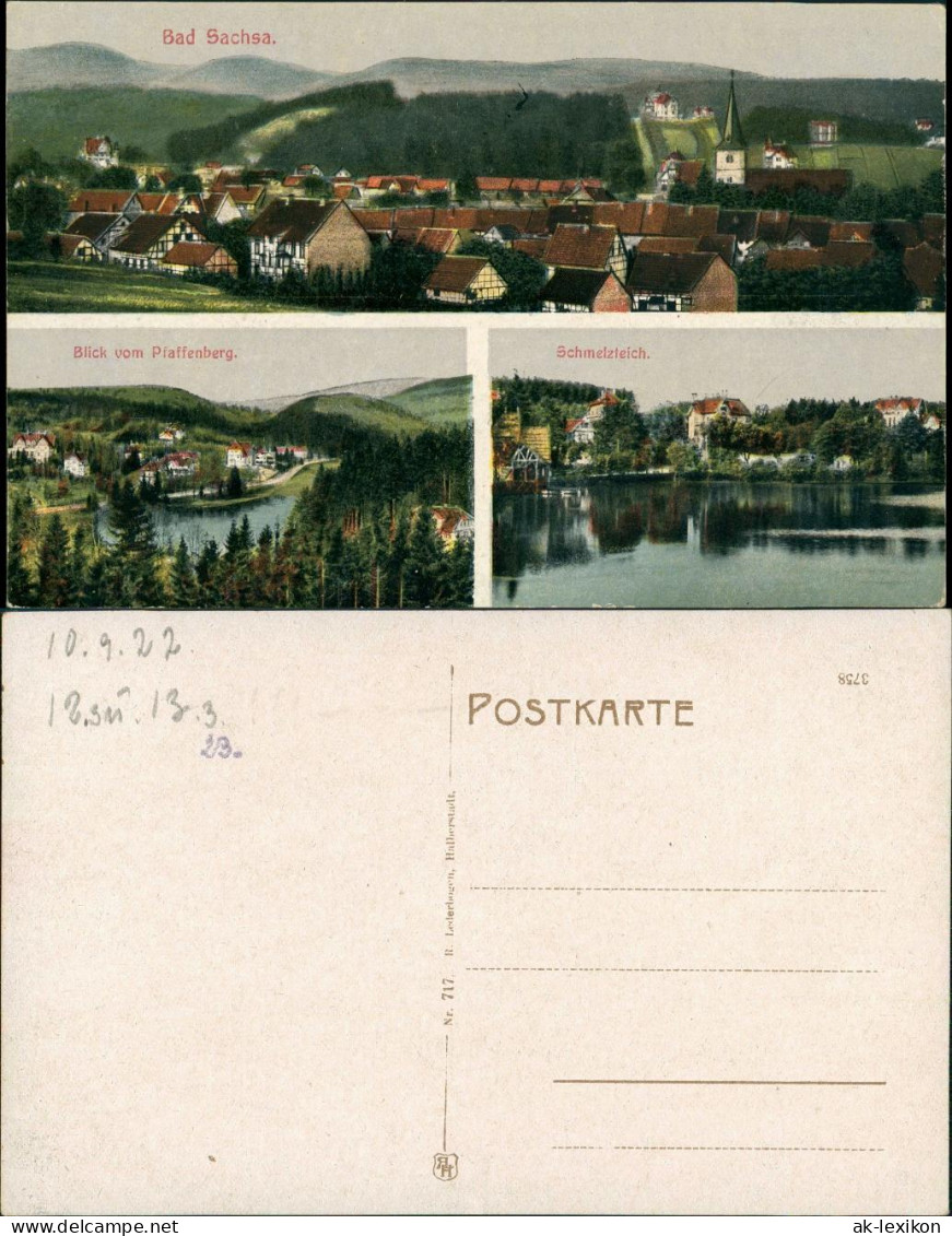 Ansichtskarte Bad Sachsa Blick Vom Pfaffenebergm Schmelzteich 1922 - Bad Sachsa