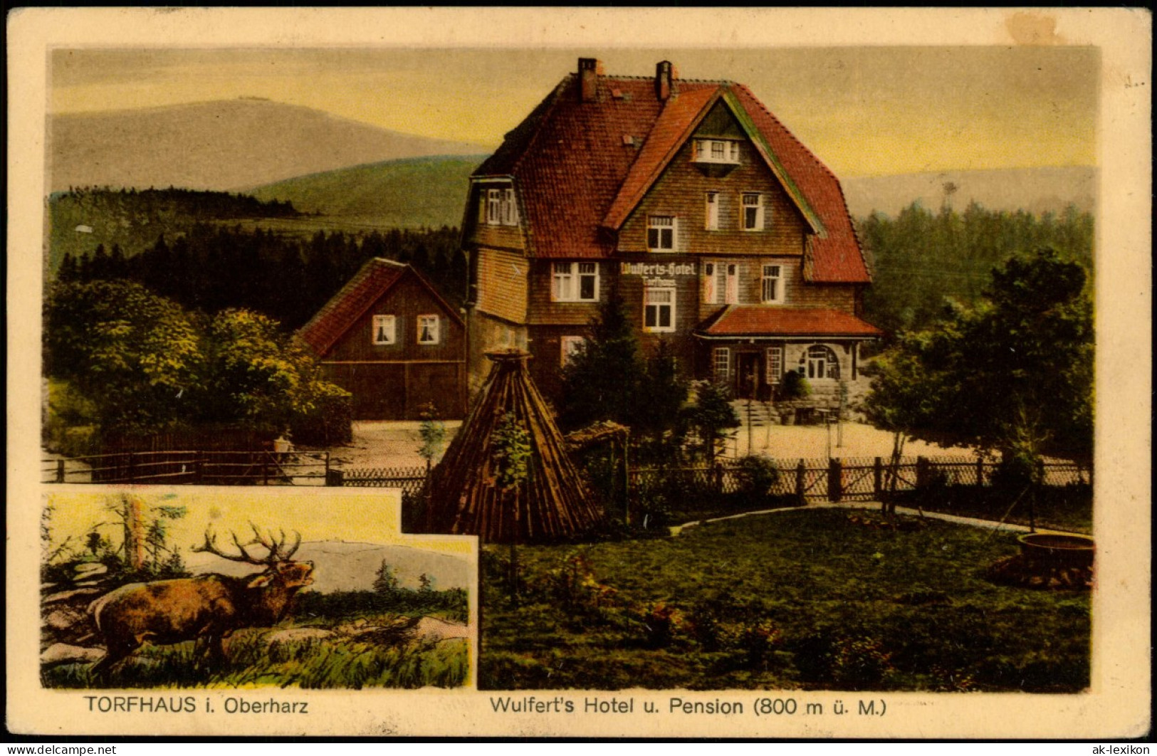 Ansichtskarte Torfhaus (Harz)-Altenau 2 Bild: Hirsch, Wulferts Hotel 1923 - Altenau