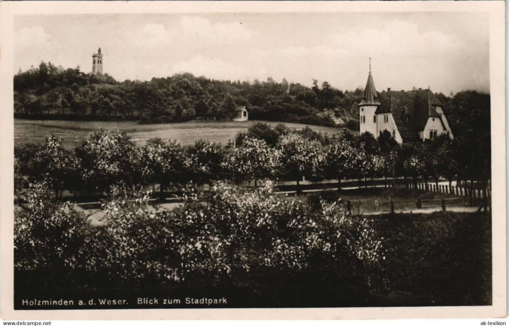 Ansichtskarte Holzminden Blick Zum Stadtpark 1937 - Holzminden