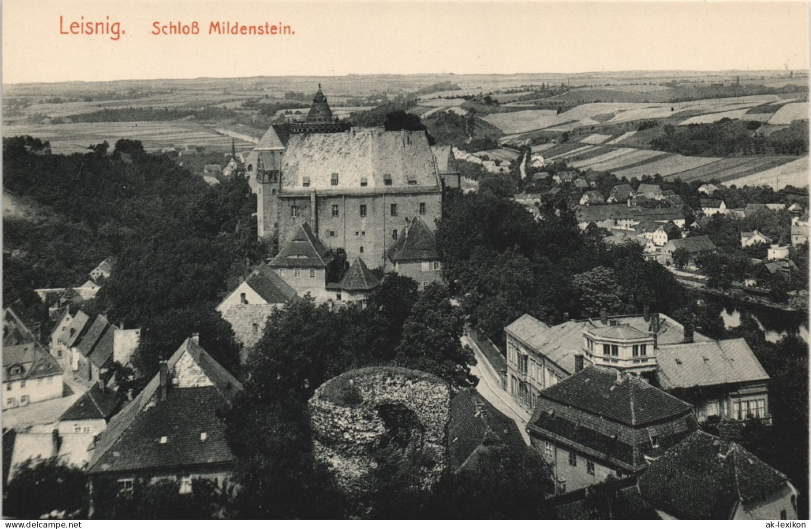 Ansichtskarte Leisnig Schloss Mildenstein - Fernblick 1913 - Leisnig