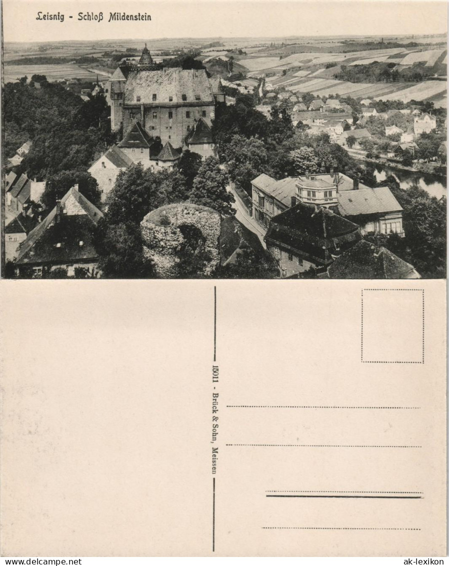Ansichtskarte Leisnig Blick Vom Schloss Mildenstein 1913 - Leisnig