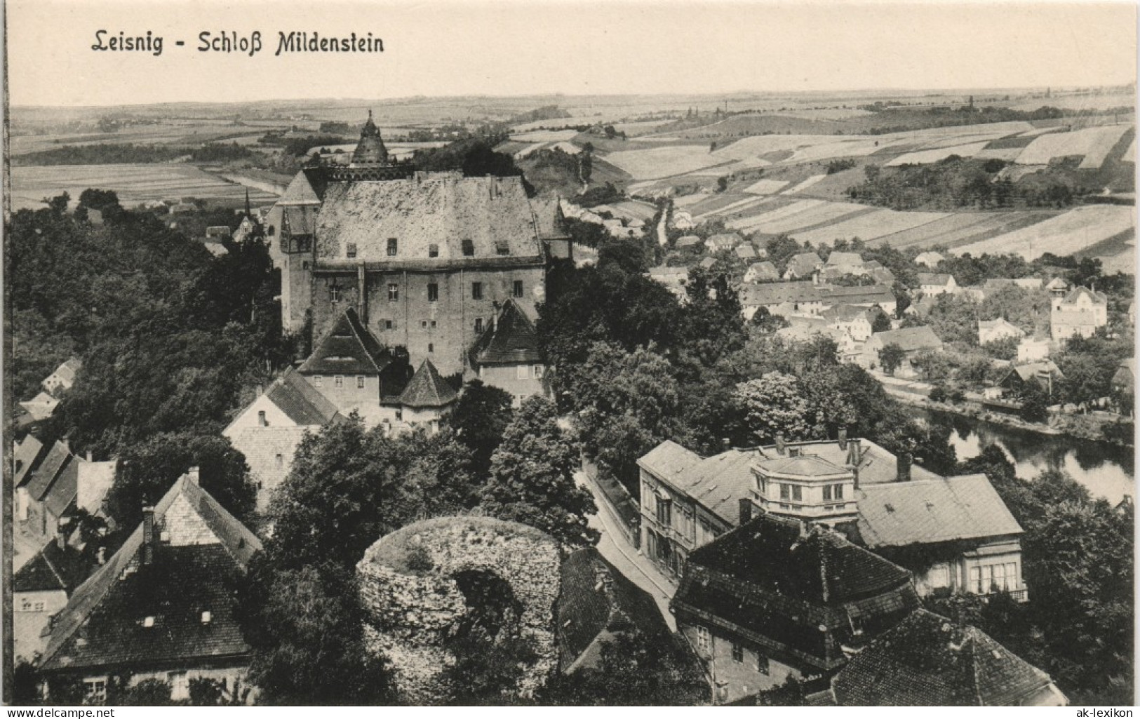 Ansichtskarte Leisnig Blick Vom Schloss Mildenstein 1913 - Leisnig