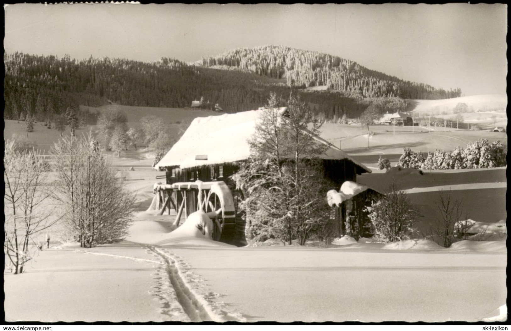 Ansichtskarte Hinterzarten Eingeschneite Sägemühle 1965 - Hinterzarten