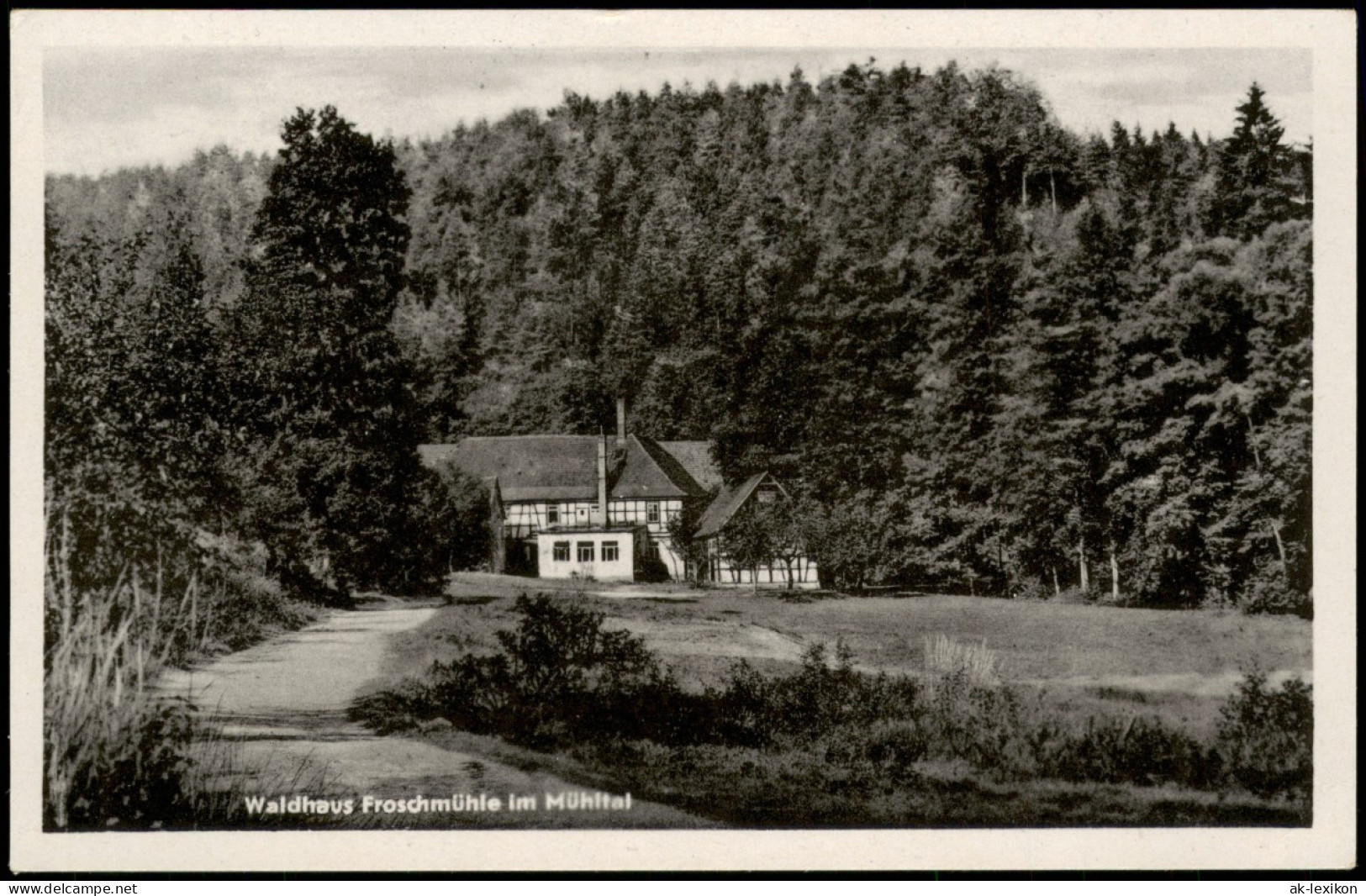 Ansichtskarte Eisenberg (Thüringen) Froschmühle 1954 - Eisenberg