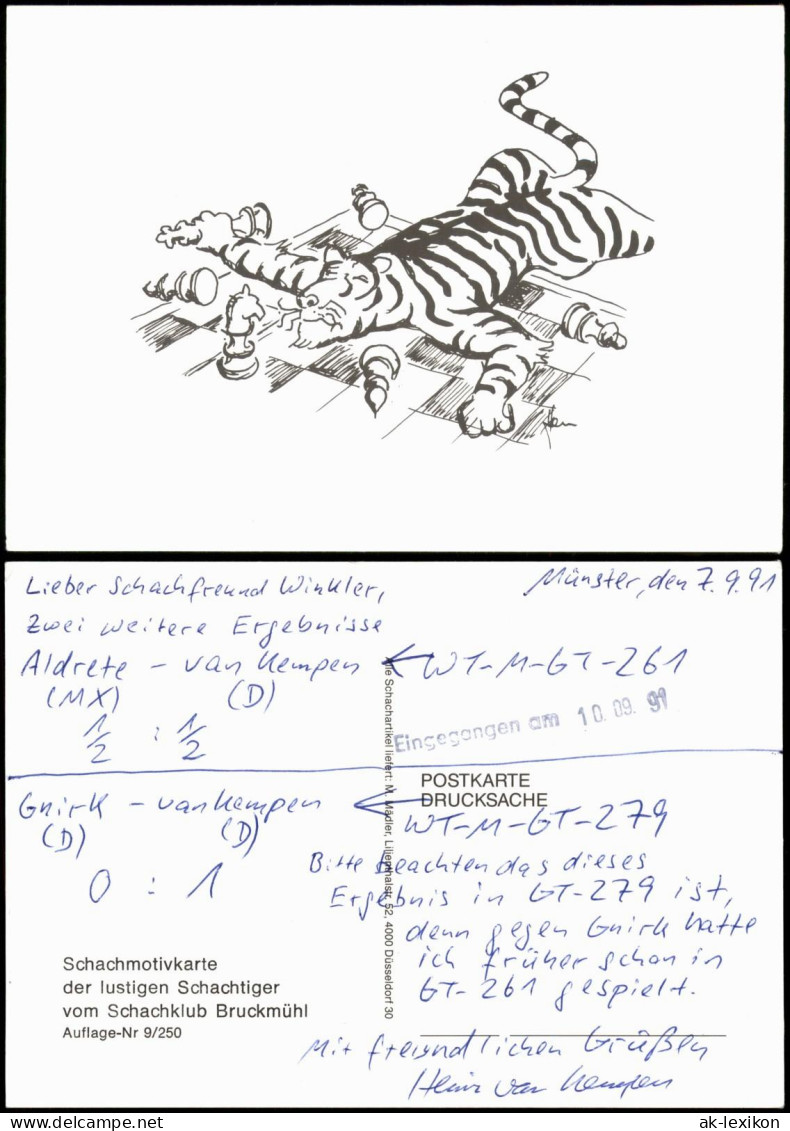 Schachmotivkarte Der Lustigen Schachtiger Vom Schachklub Bruckmühl 1991 - Contemporain (à Partir De 1950)