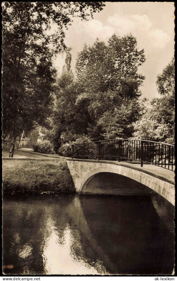 Ansichtskarte Delmenhorst Demost Idyll In Den Graft-Anlagen 1955 - Delmenhorst