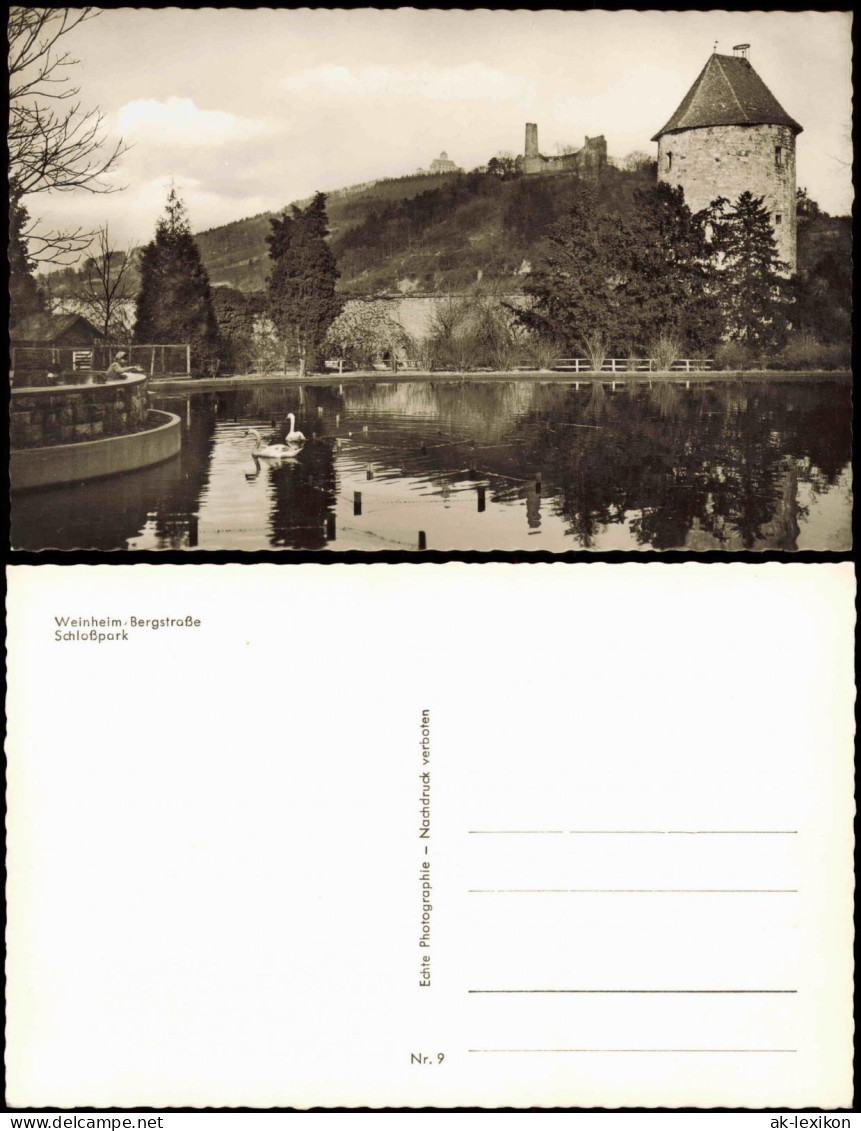 Ansichtskarte Weinheim (Bergstraße) Schlosspark 1960 - Weinheim