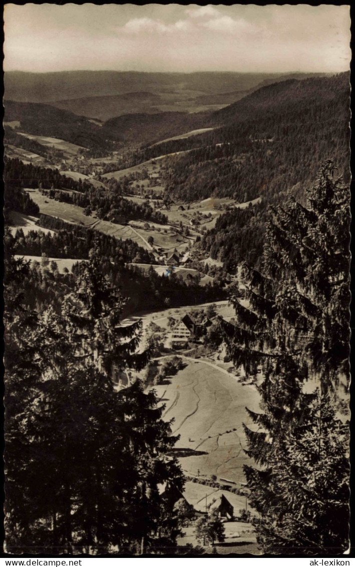 Ansichtskarte Reinerzau-Alpirsbach Reinerzau Blick Ins Tal 1961 - Alpirsbach