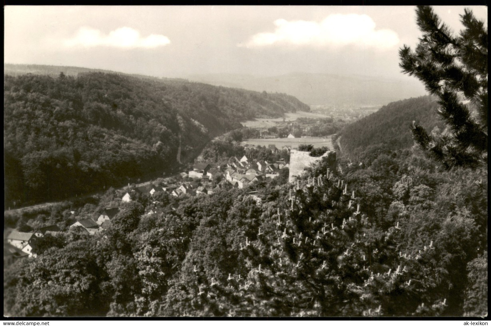 Bad Liebenstein Panorama-Ansicht; Ort Zu DDR-Zeit Krs. Arnstadt 1961 - Bad Liebenstein