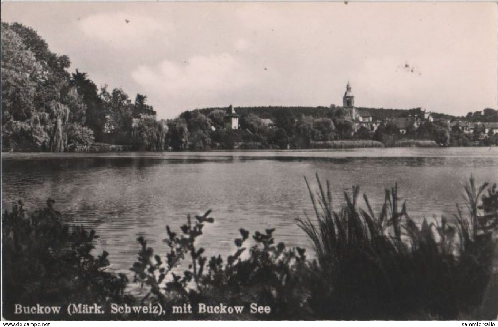 84376 - Buckow - Mit Buckow See - 1955 - Buckow