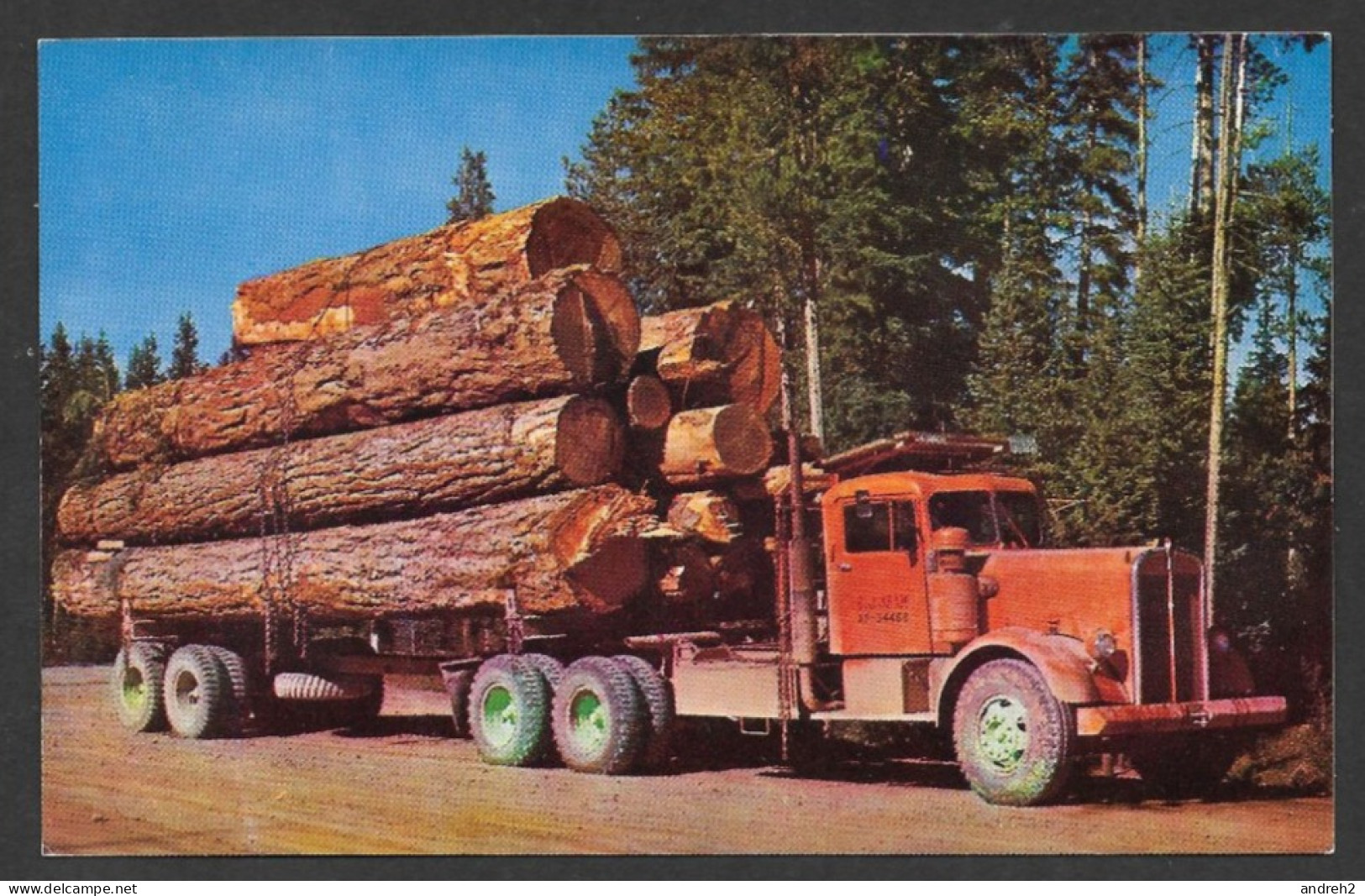 Camions & Poids Lourds - Paul Bunyan's Toothpisks - Photo Ken Stone - Par Scenic Art - No: 4462G - Camion, Tir