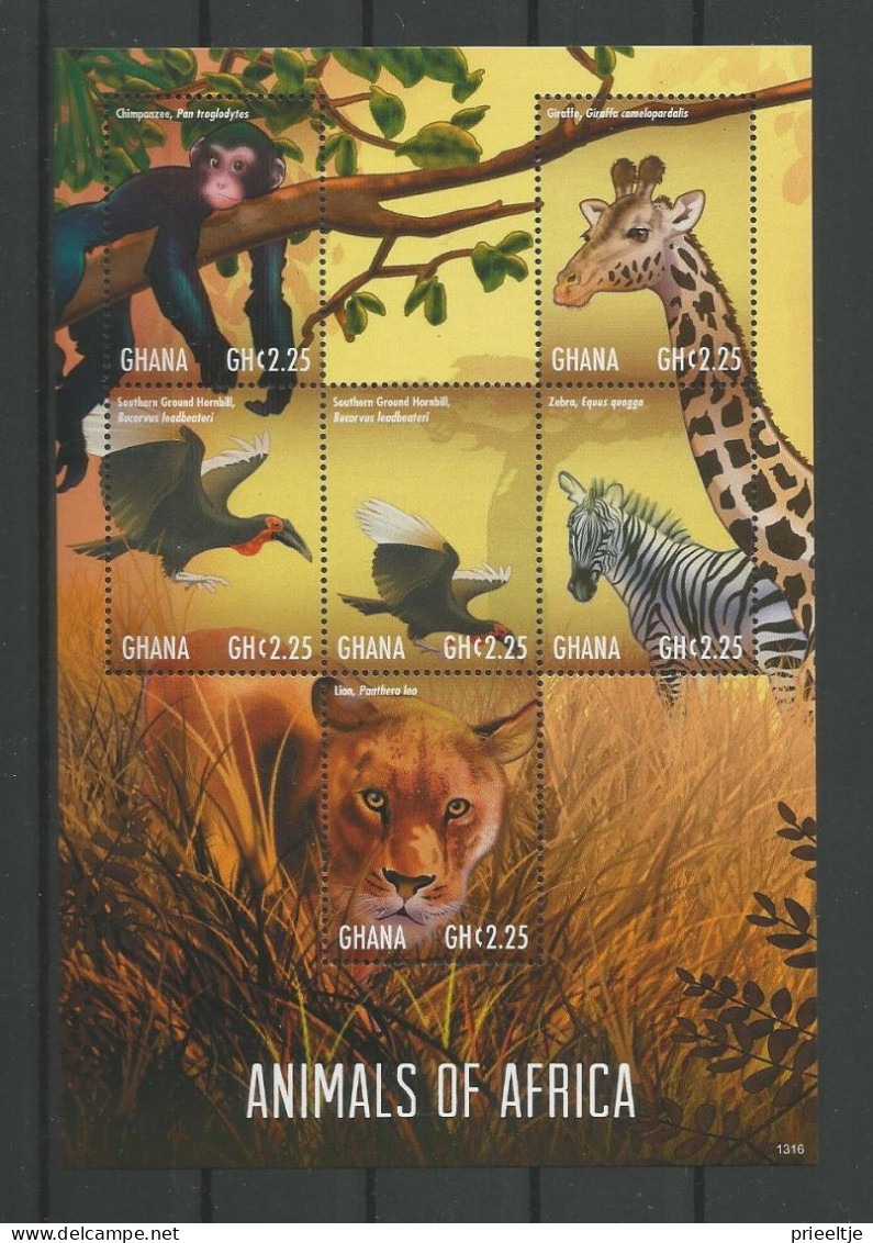 Ghana 2013 Animals Of Africa Sheet Y.T. 3449/3454   ** - Ghana (1957-...)