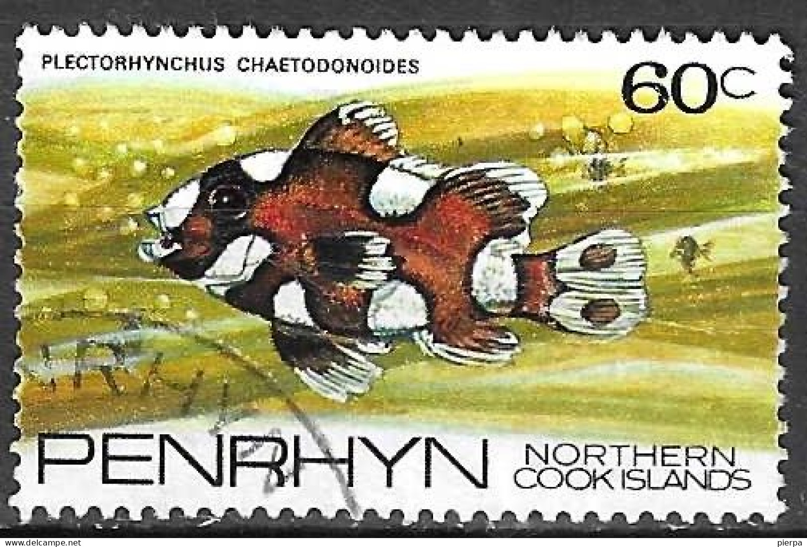 PENRHYN - 1974 - PESCI (PLECTORHYNCHUS CHAETODONOIDES) - 60 C - USATO (YVERT 52 - MICHEL 54) - Penrhyn