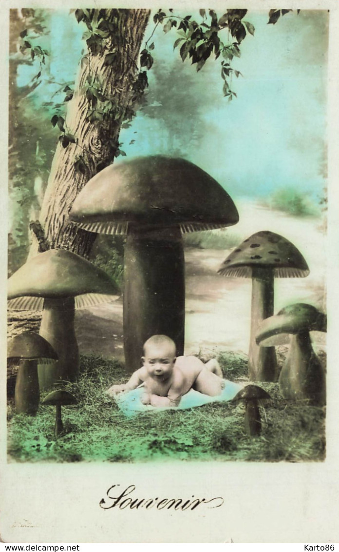 Champignons * CPA Carte Photo * Champignon Mushroom Mushrooms Enfant Bébé - Funghi