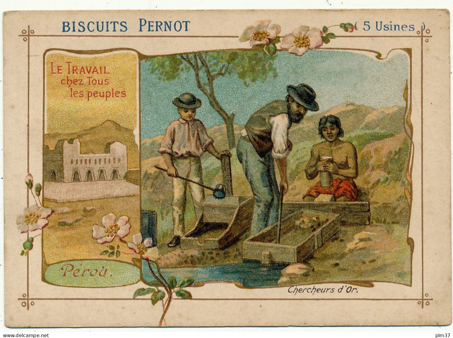 Biscuits PERNOT - Pérou, Chercheurs D'Or - Pernot